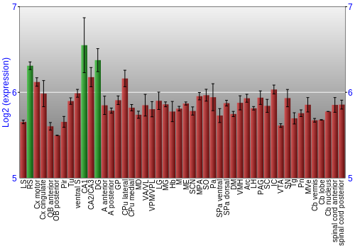 Multi-state expression graph