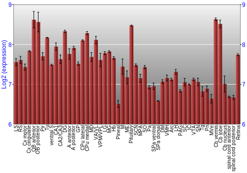 Expression graph