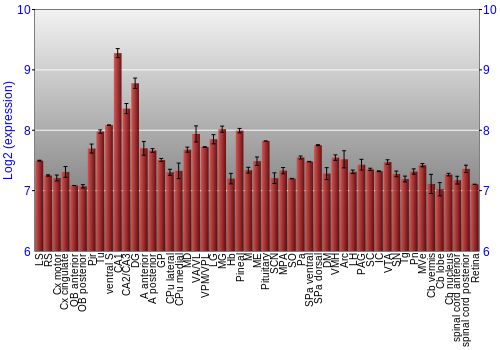 Expression graph