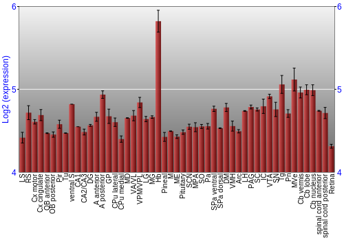 Expression graph