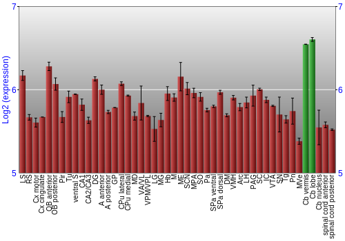 Multi-state expression graph