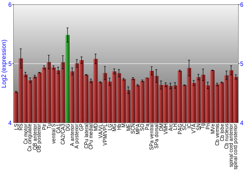 Multi-state expression graph