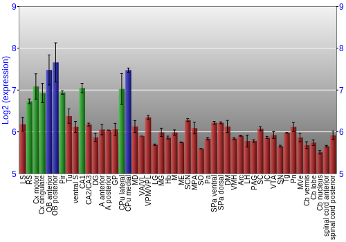 Multi-state expression graph