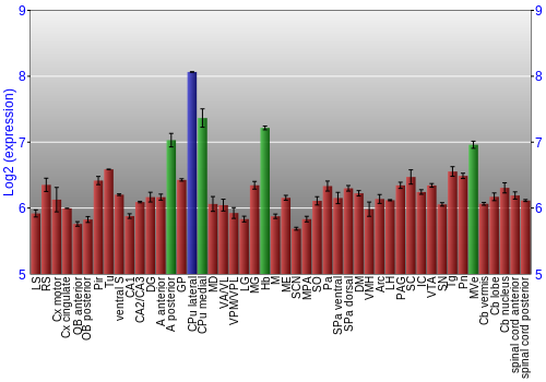 Multi-state expression graph