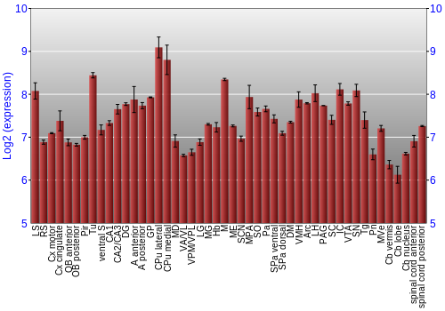 Multi-state expression graph