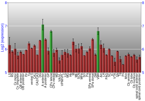 Multi-state expression graph