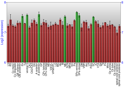 Multi-state expression graph