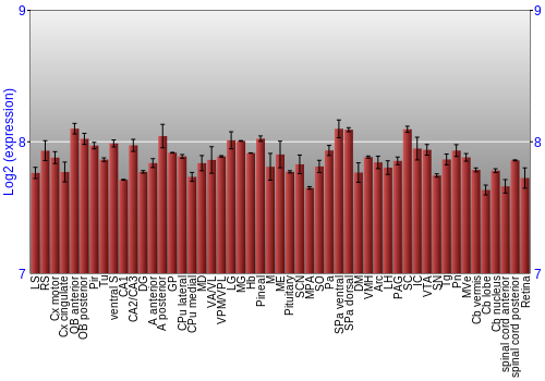 Expression graph