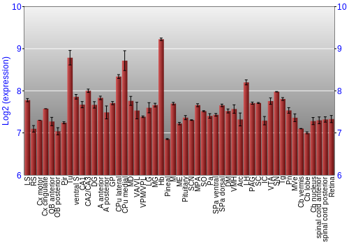 Expression graph