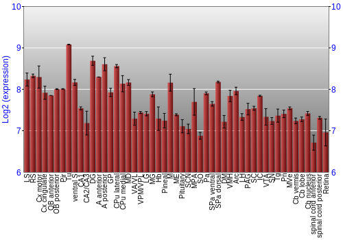 Expression graph