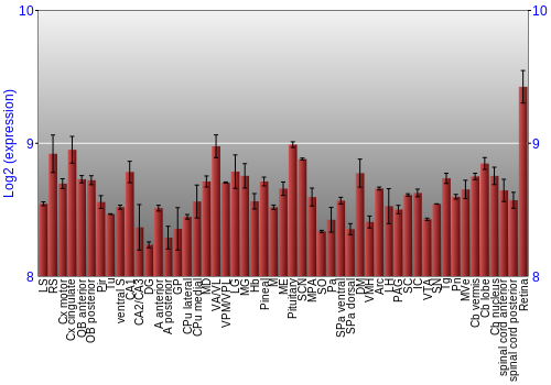 Expression graph