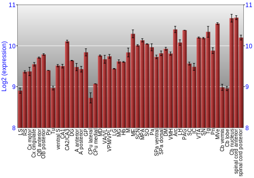 Multi-state expression graph