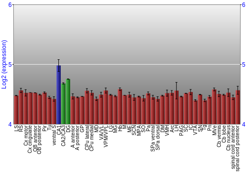 Multi-state expression graph