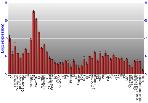 Expression graph