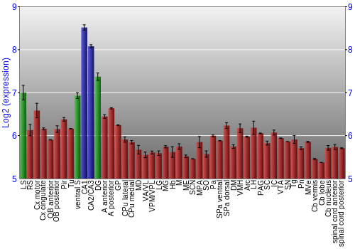 Multi-state expression graph