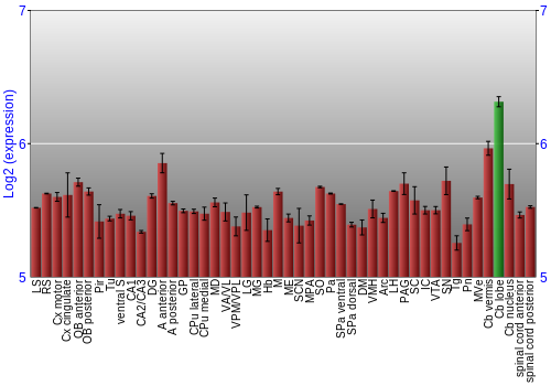 Multi-state expression graph