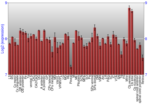 Expression graph
