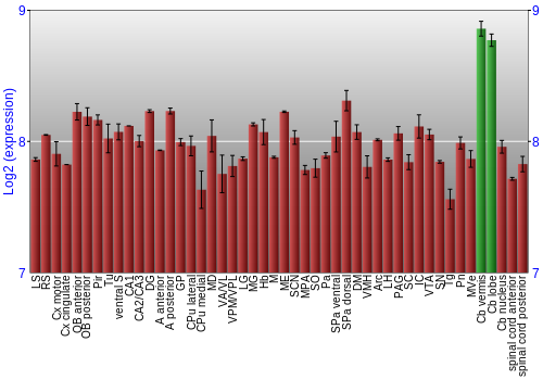 Multi-state expression graph