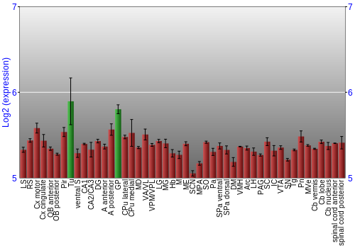 Multi-state expression graph