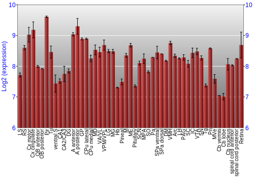 Expression graph