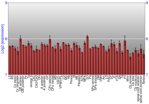 Expression graph