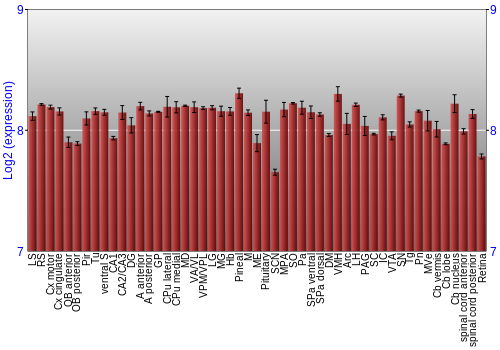Expression graph