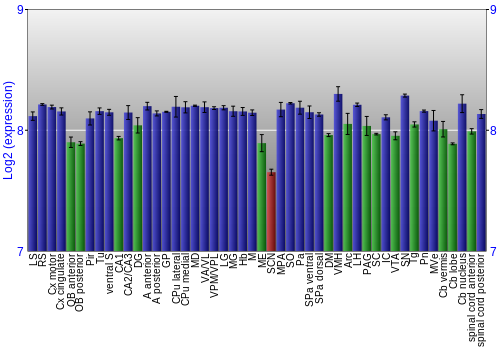 Multi-state expression graph