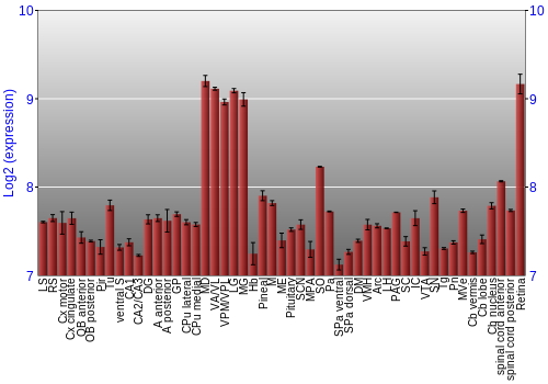 Expression graph
