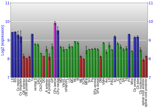 Multi-state expression graph