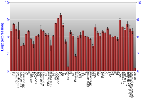 Expression graph