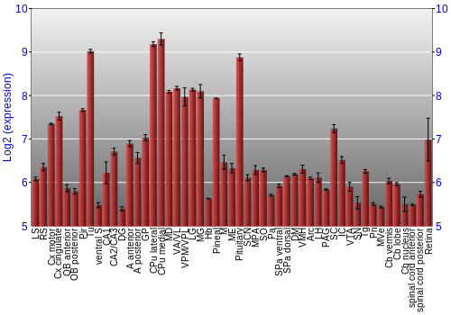 Expression graph