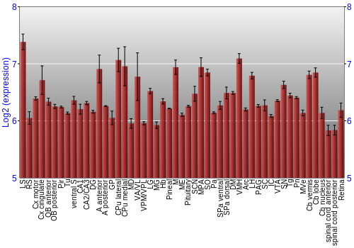 Expression graph