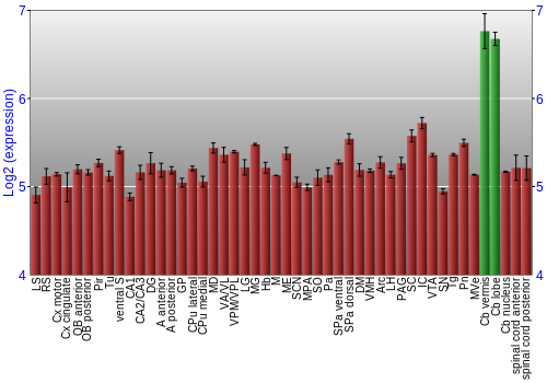 Multi-state expression graph