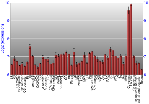 Expression graph