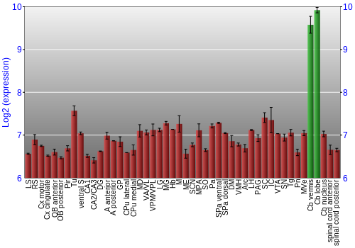 Multi-state expression graph