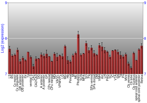 Expression graph