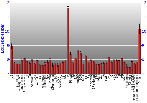 Expression graph