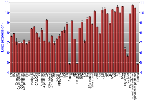 Expression graph