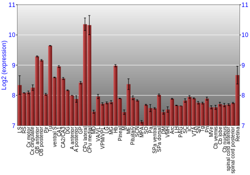 Expression graph