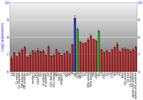 Multi-state expression graph
