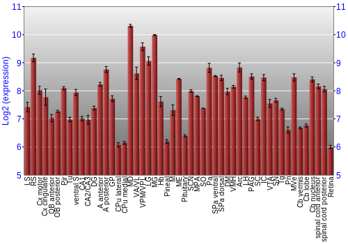 Expression graph