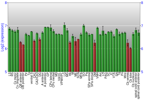 Multi-state expression graph