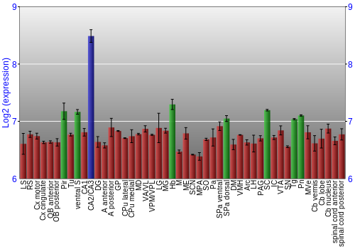 Multi-state expression graph