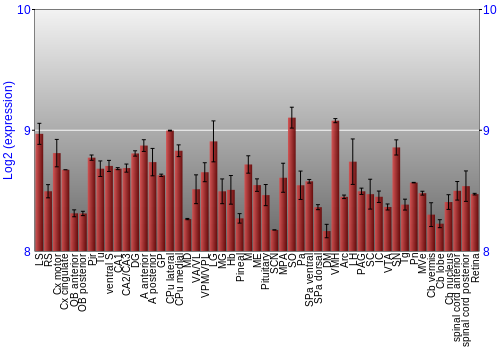Expression graph