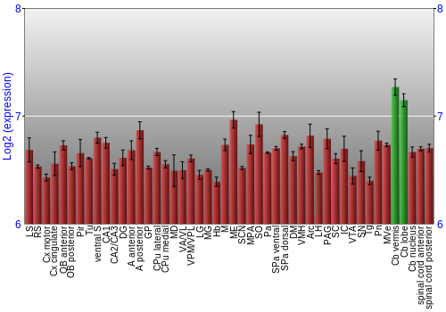 Multi-state expression graph