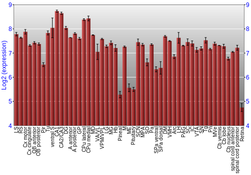 Expression graph