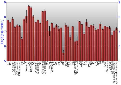 Multi-state expression graph