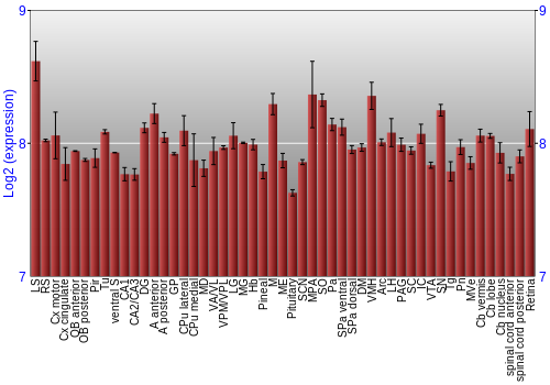 Expression graph