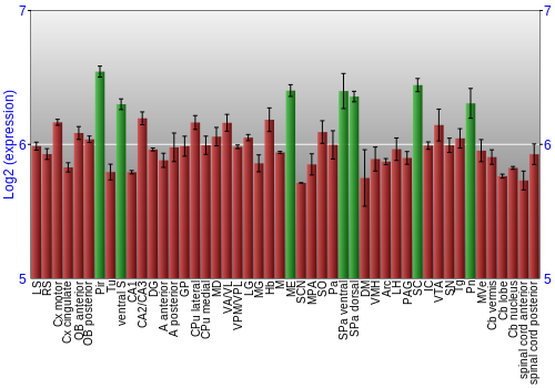 Multi-state expression graph