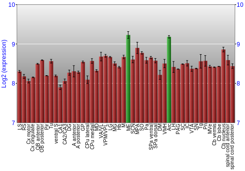 Multi-state expression graph